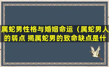 属蛇男性格与婚姻命运（属蛇男人的弱点 揭属蛇男的致命缺点是什么）